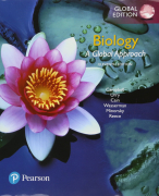  Samenvatting Biology: A Global Approach 11e editie (zie voor hoofdstukken de beschrijving) - Plantenbiologie