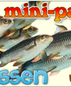 Antwoordblad minipad vissen