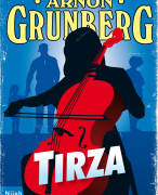 Leesverslag van het boek Tirza