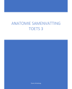 Anatomie periode 3 samenvatting 