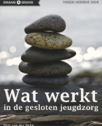 Samenvatting Wat werkt in de gesloten jeugdzorg