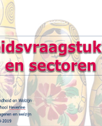 Samenvatting beleidsvraagstukken & sectoren 
