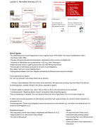 Ethics and International Business