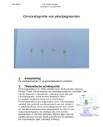 Chromatografie van plantpigmenten