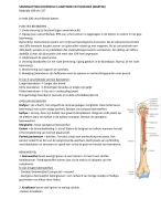  Samenvatting Anatomie en fysiologie, Martini. Globale samenvatting van Hoofdstuk 6 het beenderenstelsel