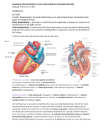 Samenvatting Anatomie en fysiologie, Martini. Globale samenvatting van hoofdstuk 12 en 13