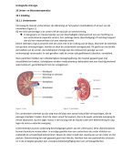Urologische chirurgie 10.1/10.2 - 22.1/22.2 - H23 - H25 tot en met 25.7