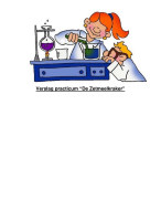 Practicumverslag biologie; ‘de zetmeetkraker’