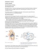 Orthopedie- dr. Voerman