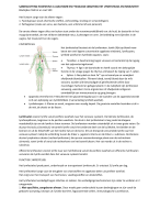 Samenvatting Anatomie en fysiologie, Martini. Globale samenvatting van hoofdstuk 14