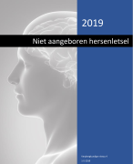 Keuzedeel Niet aangeboren hersenletsel 