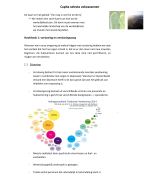 Capita Selecta Volwassenen 2019-2020