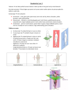Anatomie: nomenclatuur en osteologie