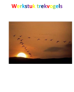 Fantastisch werkstuk over: Trekvogels (TOPPER!!!)