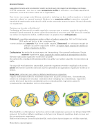 Biologie vwo 4 thema 4 Evolutie