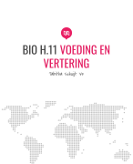 BIO H.11 Voeding en Vertering 