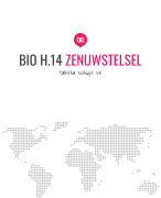 BIO H.14 Zenuwstelsel 