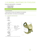 1VV Baring: Anatomie en fysiologie