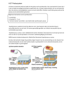 H27 Prokaryoten (bacteriën en archaea)