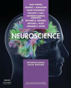 Samenvatting Neuroscience (Purves) 6e editie: Anatomie