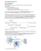 Samenvatting Lichamelijk Functioneren 2: thema 2 endocrien stelsel