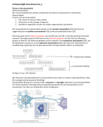 Samenvatting Lichamelijk Functioneren 3