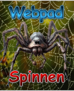 Antwoordblad webpad spinnen
