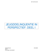 Jeugddelinquentie in perspectief - deel 1 (Bart Vanhoenacker)