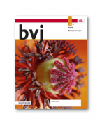 Biologie voor Jou havo 4 hoofdstuk/thema 3 Genetica