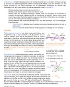 natuurkunde samenvatting straling