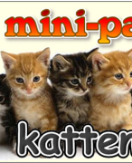 Antwoordblad minipad katten