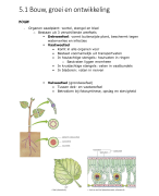Biologie voor jou VWO 5 Hoofdstuk 5 Planten [Samenvatting]