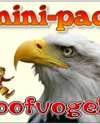 Antwoordblad minipad roofvogels