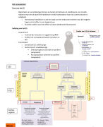 Fase 1 Semester 2 Anatomie en fysiologie - Het zenuwstelsel