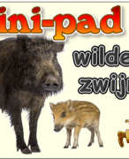 Antwoordblad minipad wilde zwijnen