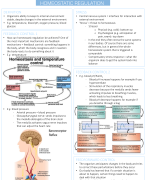Health Psychology - samenvatting les 1-4
