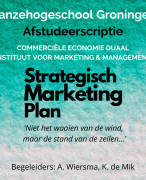 Voorbeeld scriptie strategisch marketingplan doelgroep onderzoek en marktpositionering