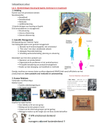 samenvatting veilig gedrag en cultuur