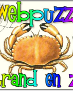 Antwoordblad webpuzzel strand