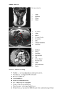 MRI colleges P5 en P6