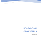 Samenvatting Horizontaal Organiseren Integraal VH-management: conceptueel AIV-V3IVMC-20