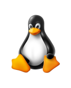 Cheatsheet met de basis commando's van Linux
