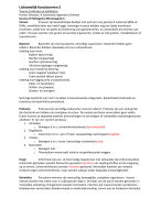 Lichamelijk Functioneren 5 thema 3 Infecties en antibiotica