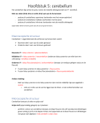 Hoofdstuk 5: Cerebellum