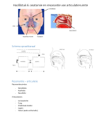 Hoofdstuk 6: anatomie en resonantie van articulatieruimte