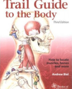 Samenvatting alle spieren/musculatuur volgens 'trail guide to the body'