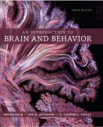 Brain and Behavior 