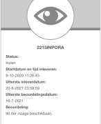 Instapportfolio PABO Haarlem, 2020/2021