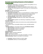 Pincode Katern Schaarste en Ruil samenvatting (Hoofdstuk 1+2)