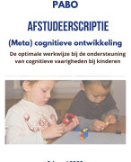 Geslaagde scriptie ontwikkeling meta cognitie kinderen; werkwijze en ondersteuning